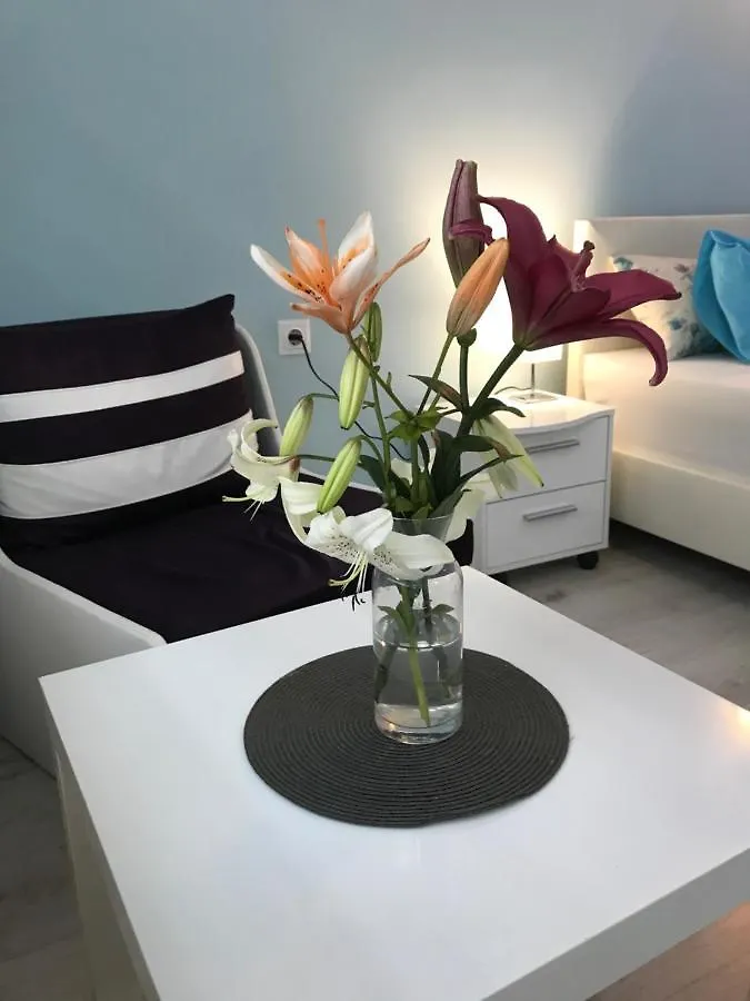 Hotel White Rose Guest Rooms Burgas